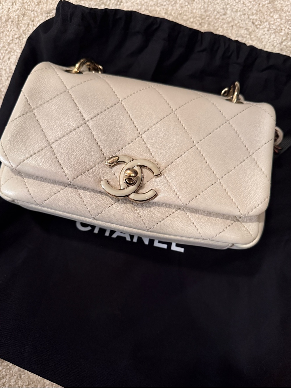 CHANEL Mini Flap Bag with Gold Hardware